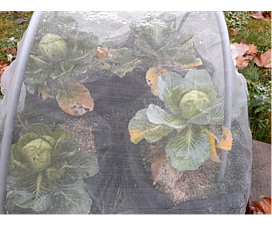 Todo - Redes (Jardín, Agro) Red anti-insectos - 110g/m2 - Transparante - Elija la longitud